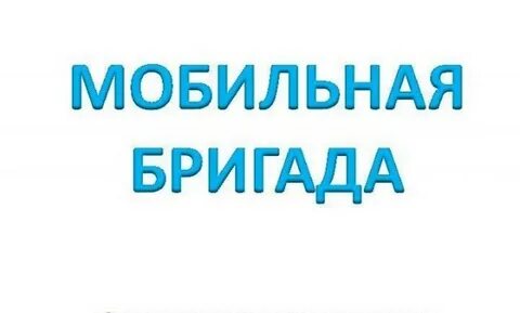Выезд в рамках работы "Мобильной бригады"