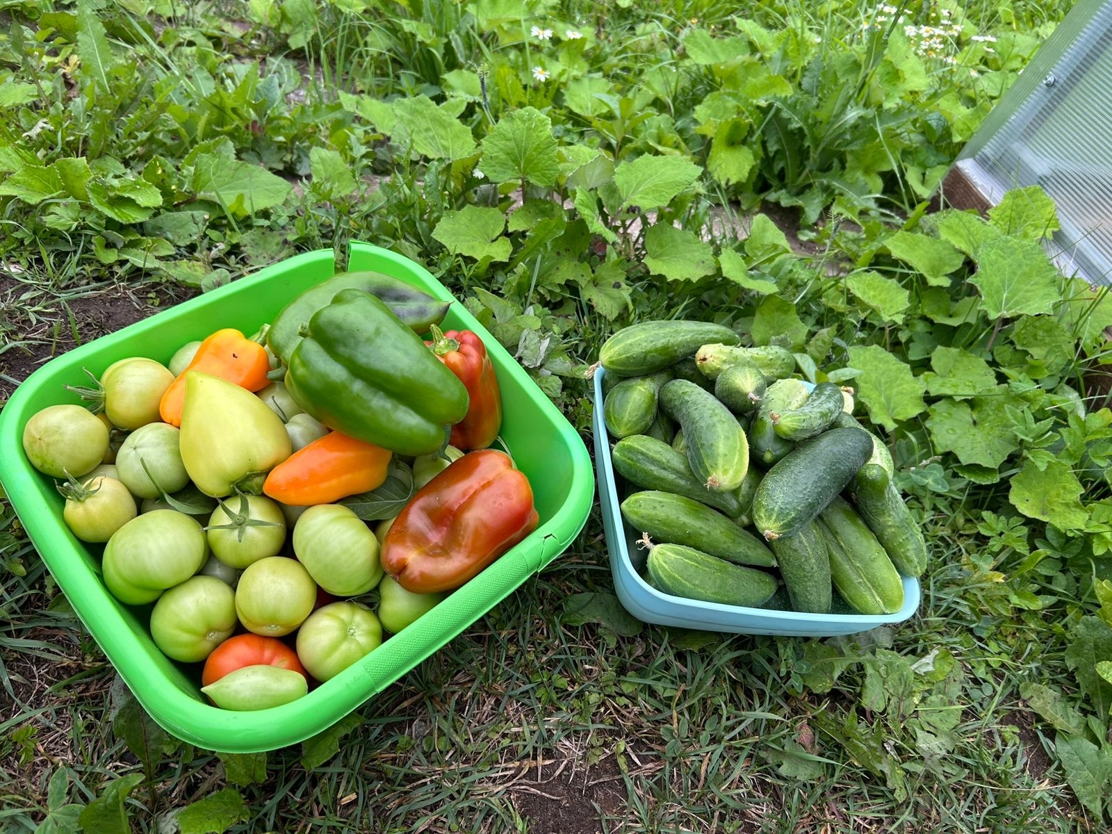 Осень – время сбора урожая и подготовки запасов на зиму