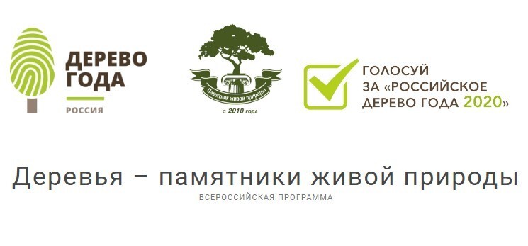 Национальный конкурс "Российское дерево года - 2020"