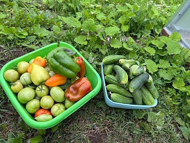 Осень – время сбора урожая и подготовки запасов на зиму